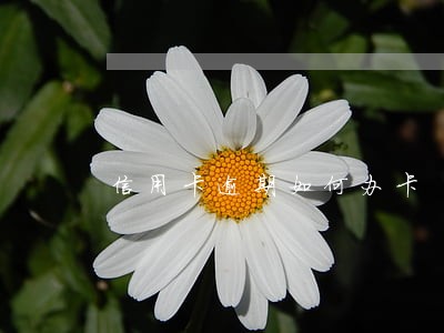 信用卡逾期如何办卡