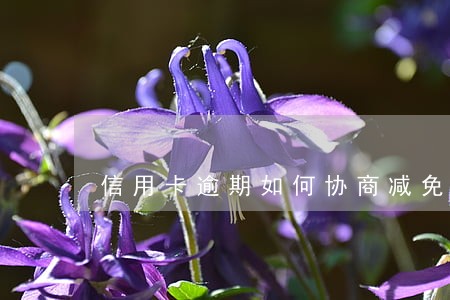 信用卡逾期如何协商减免本金