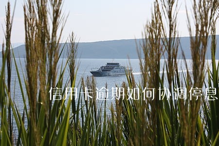 信用卡逾期如何协调停息 信用卡逾期如何协调停息