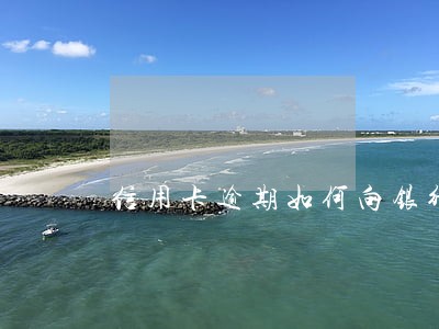 信用卡逾期如何向银行解释