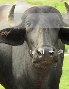 信用卡逾期如何和银行 信用卡逾期如何和银行