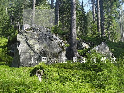 信用卡逾期如何帮扶 信用卡逾期如何帮扶