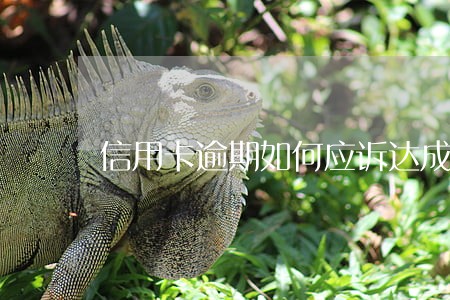 信用卡逾期如何应诉达成分期