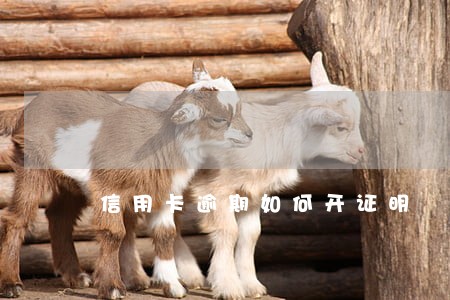 信用卡逾期如何开证明 信用卡逾期如何开证明