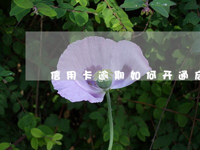 信用卡逾期如何开通启用信用卡 信用卡逾期如何开通启用信用卡