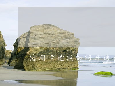 信用卡逾期如何开通花呗