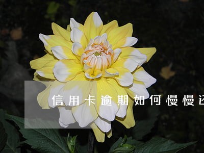 信用卡逾期如何慢慢还 信用卡逾期如何慢慢还