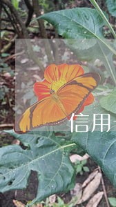 信用卡逾期如何找协商