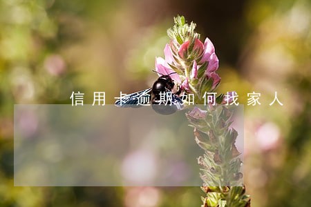 信用卡逾期如何找家人 信用卡逾期如何找家人