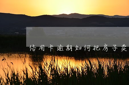 信用卡逾期如何把房子卖掉 信用卡逾期如何把房子卖掉