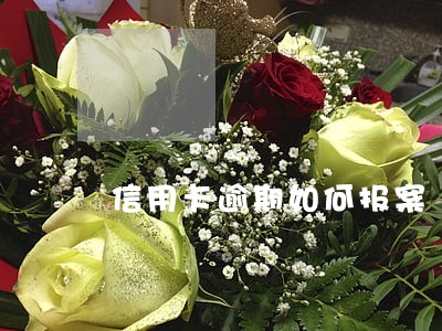 信用卡逾期如何报案