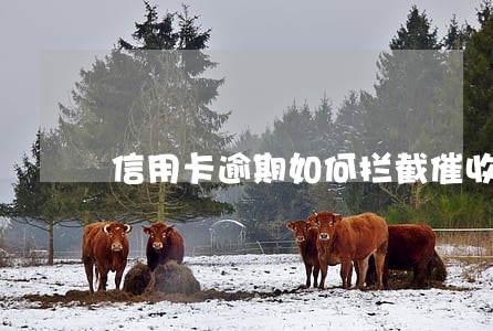 信用卡逾期如何拦截催收函 信用卡逾期如何拦截催收函
