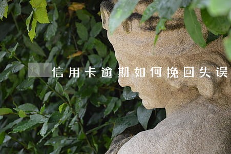 信用卡逾期如何挽回失误 信用卡逾期如何挽回失误