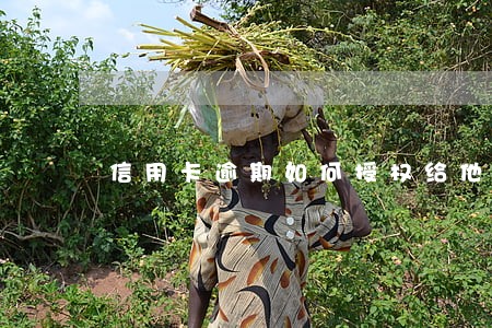 信用卡逾期如何授权给他人 信用卡逾期如何授权给他人