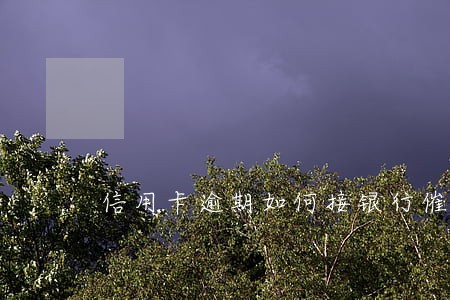 信用卡逾期如何接银行催款电话