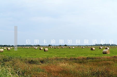 信用卡逾期如何撤销起诉 信用卡逾期如何撤销起诉