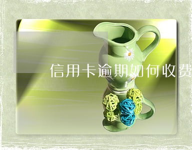 信用卡逾期如何收费标准 信用卡逾期如何收费标准