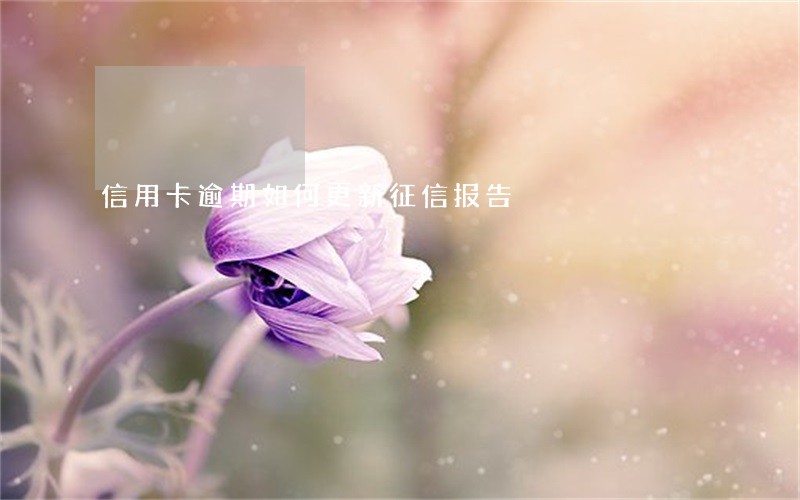 信用卡逾期如何更新征信报告