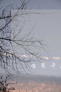 信用卡逾期如何来消除 信用卡逾期如何来消除