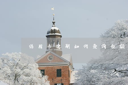 信用卡逾期如何查询余额