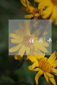信用卡逾期如何查询是否立案