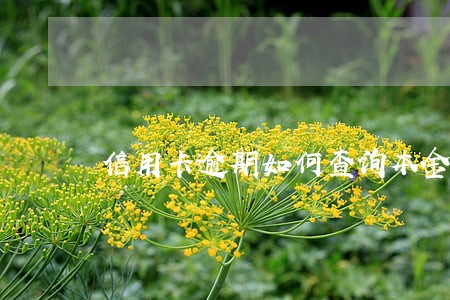 信用卡逾期如何查询本金 信用卡逾期如何查询本金