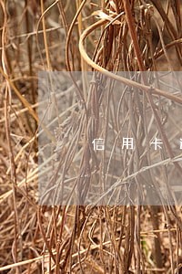 信用卡逾期如何理性应对 信用卡逾期如何理性应对