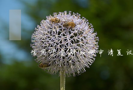 信用卡逾期如何申请复议 信用卡逾期如何申请复议