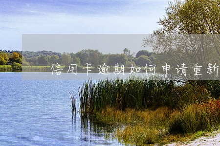 信用卡逾期如何申请重新分期 信用卡逾期如何申请重新分期