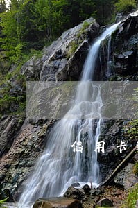 信用卡逾期如何申请非恶意逾期 信用卡逾期如何申请非恶意逾期