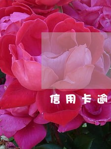 信用卡逾期如何界定 信用卡逾期如何界定