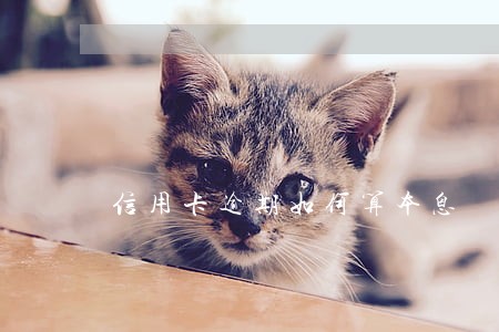 信用卡逾期如何算本息 信用卡逾期如何算本息