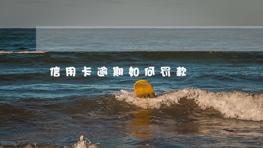 信用卡逾期如何罚款 信用卡逾期如何罚款