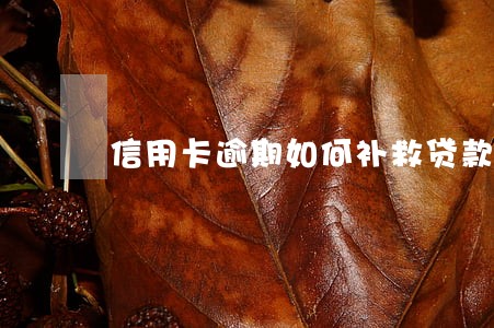 信用卡逾期如何补救贷款买房 信用卡逾期如何补救贷款买房