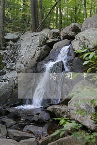 信用卡逾期如何解救