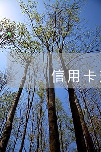 信用卡逾期如何计算90天
