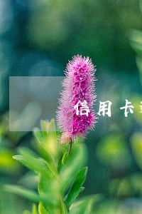 信用卡逾期如何计算时间 信用卡逾期如何计算时间