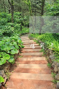 信用卡逾期如何计算本金
