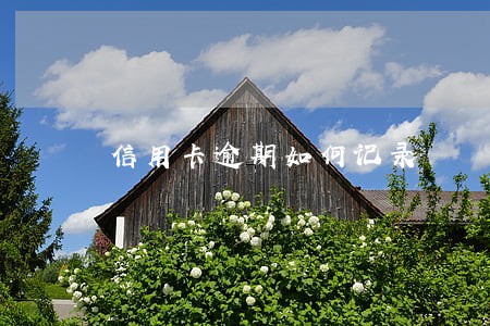 信用卡逾期如何记录 信用卡逾期如何记录
