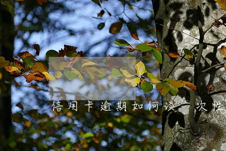 信用卡逾期如何谈一次性还清