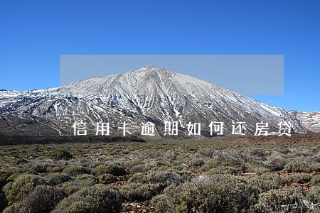 信用卡逾期如何还房贷 信用卡逾期如何还房贷