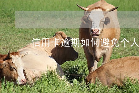 信用卡逾期如何避免个人黑名单 信用卡逾期如何避免个人黑名单