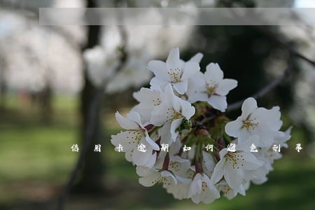 信用卡逾期如何避免刑事