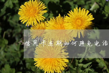信用卡逾期如何避免电话轰炸 信用卡逾期如何避免电话轰炸