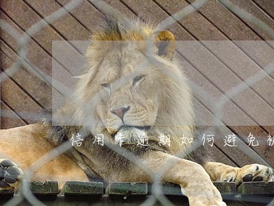 信用卡逾期如何避免被起诉 信用卡逾期如何避免被起诉