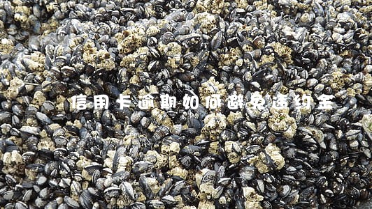 信用卡逾期如何避免违约金 信用卡逾期如何避免违约金