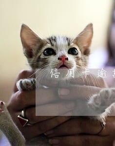信用卡逾期如何量刑 信用卡逾期如何量刑