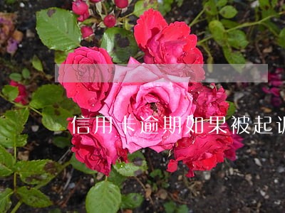 信用卡逾期如果被起诉什么后果 信用卡逾期如果被起诉什么后果