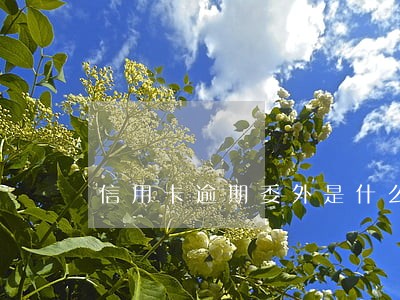 信用卡逾期委外是什么意思 信用卡逾期委外是什么意思