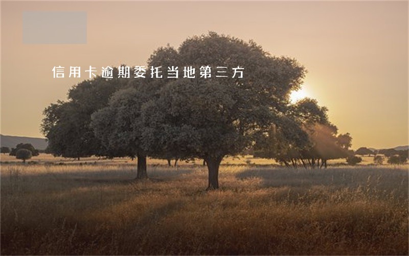 信用卡逾期委托当地第三方 信用卡逾期委托当地第三方